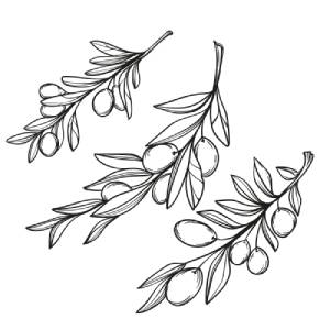 Mediterranean olives and extra virgin olive oil premium